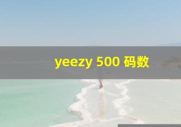 yeezy 500 码数